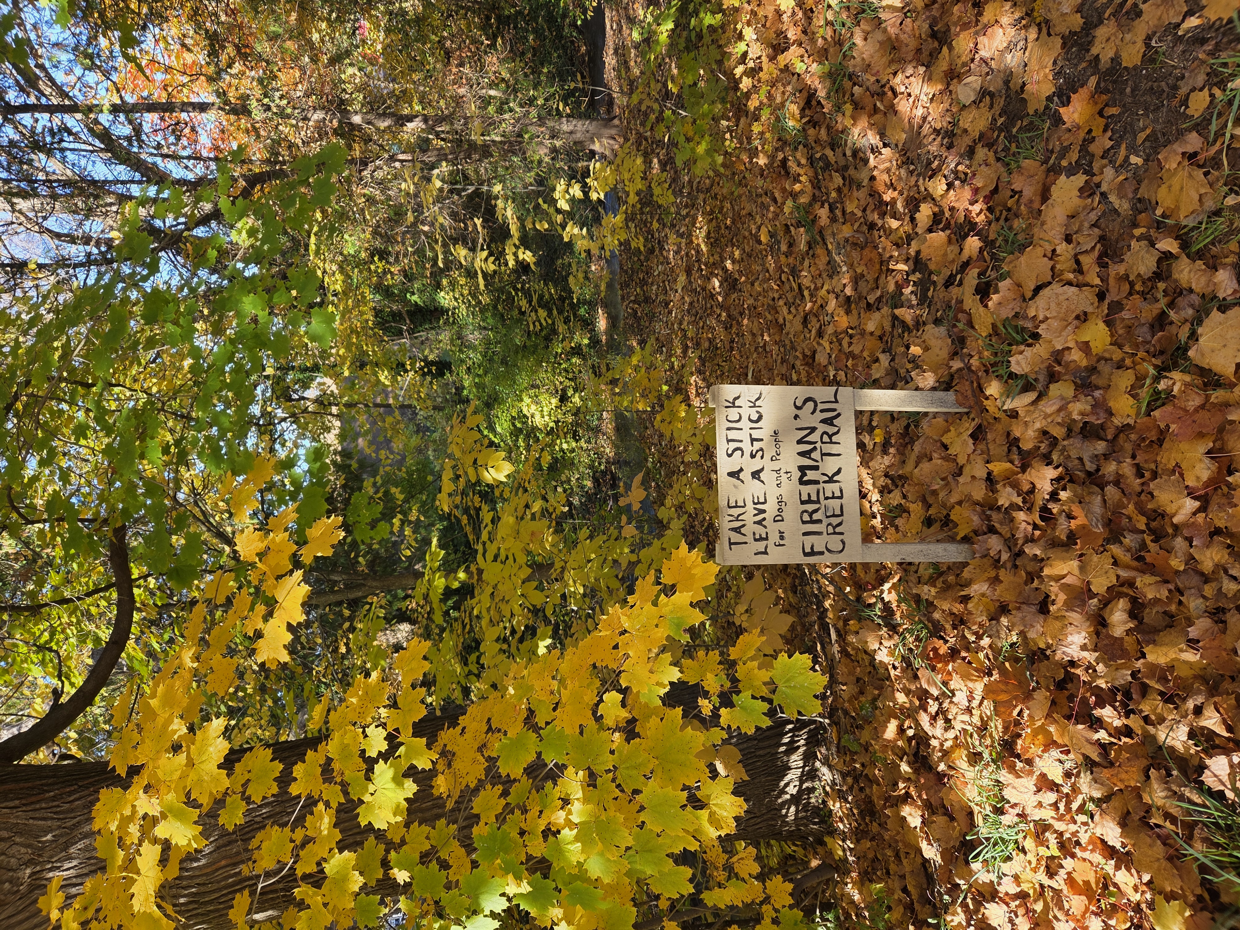 Fireman's Creek Trail